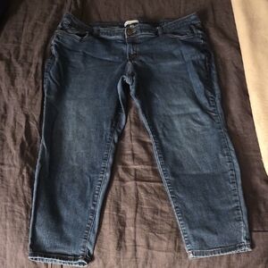 LANE BRYANT Women's Blue Jeans